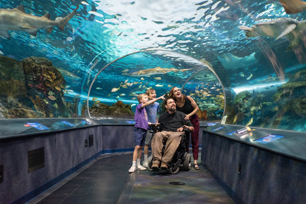Ripley's Aquarium