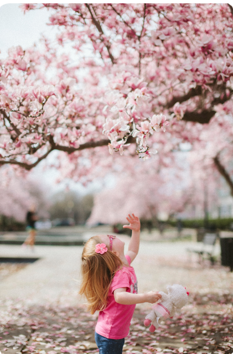 Child with Cherry Blossoms